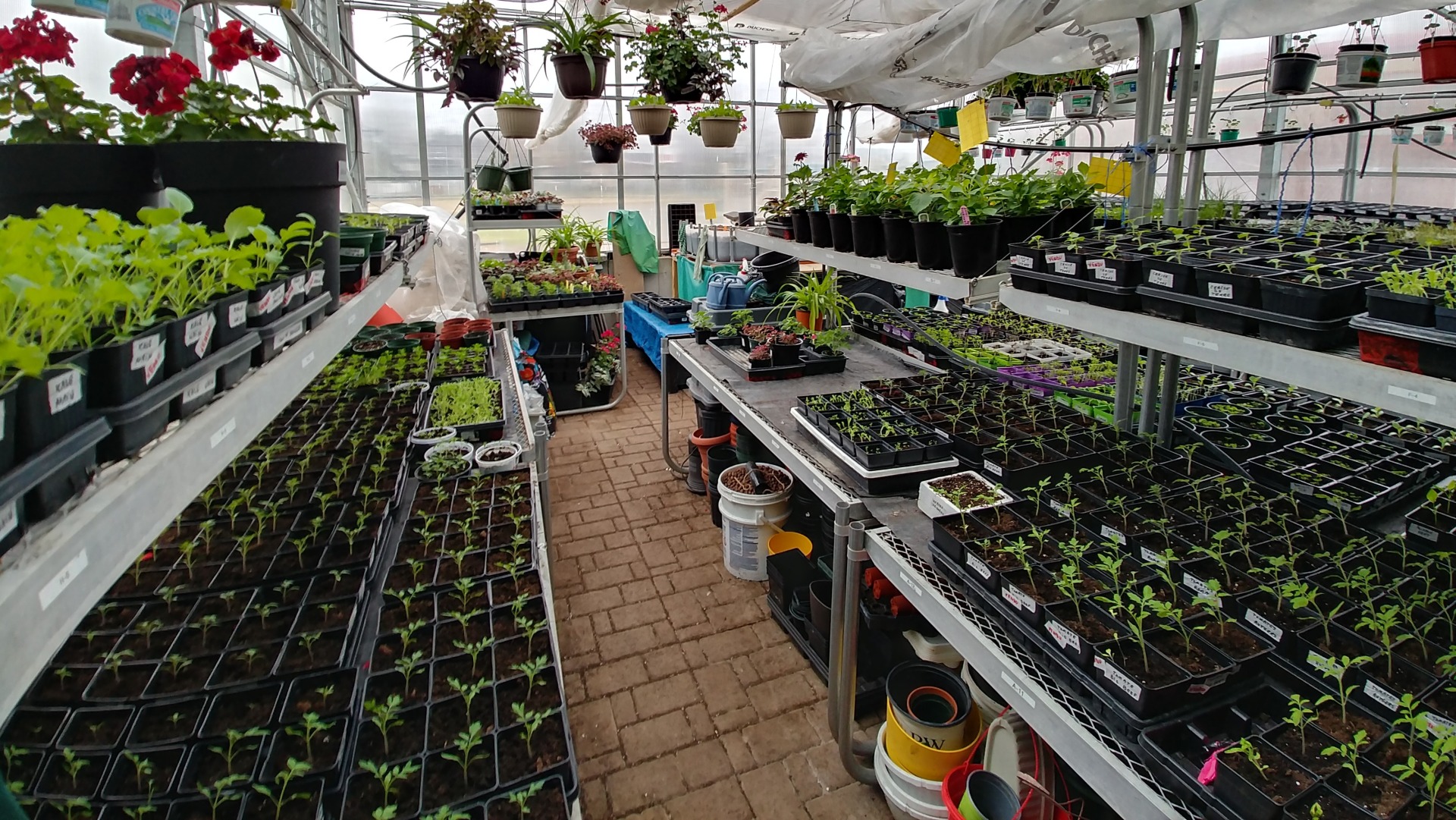 Vente de plants 2026